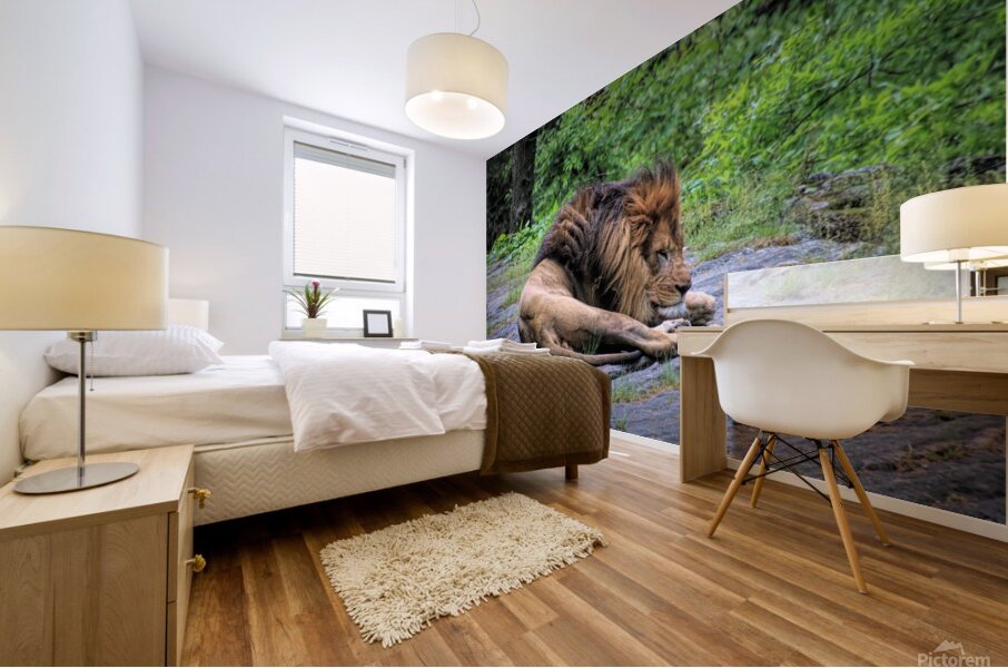 Will The Lion Sleep Tonight Mural print