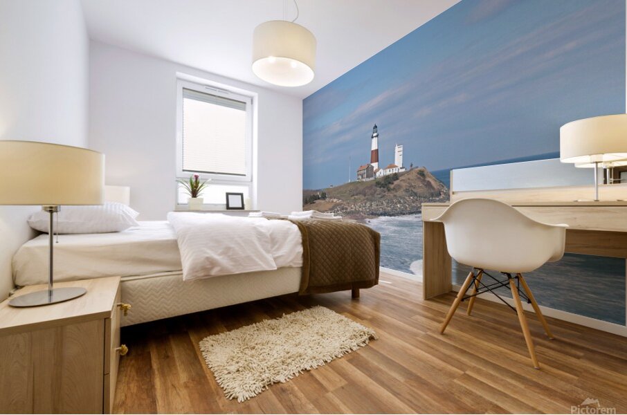 Montauk Lighthouse View From Camp Hero Mural print