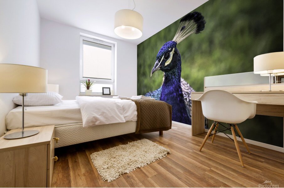 Peacock Profile Mural print
