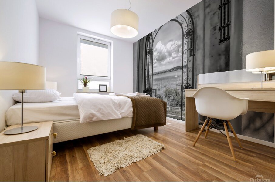 Arched Gate In B&W Mural print