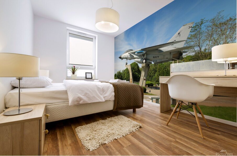 F-14 Tomcat Mural print