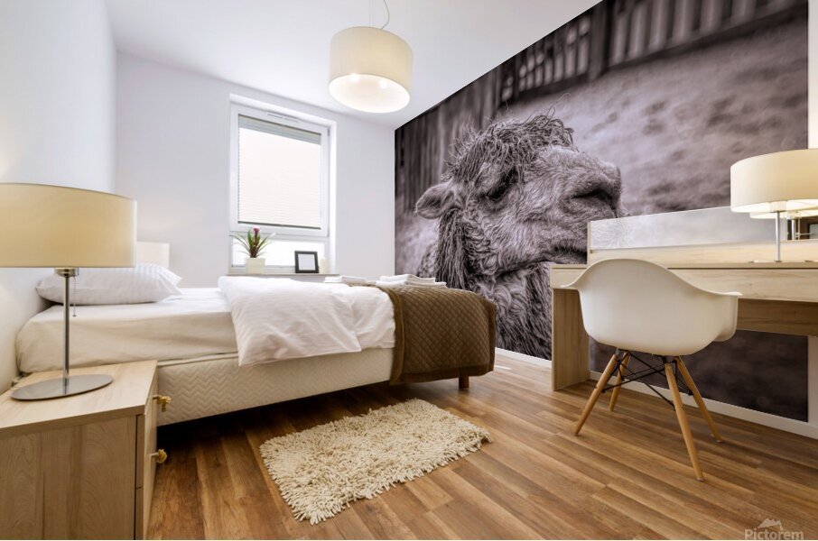 A Is For Alpaca Mural print