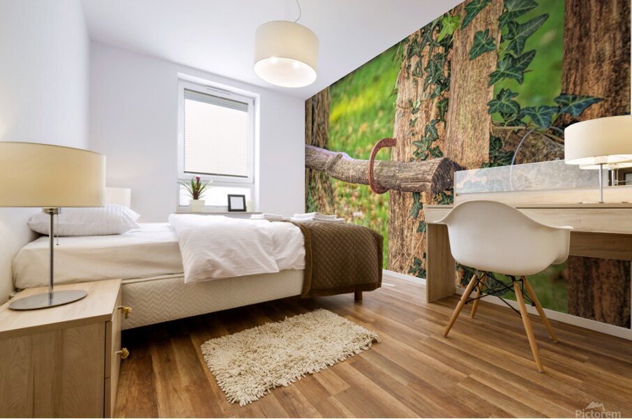 Horseshoe Fence Mural print