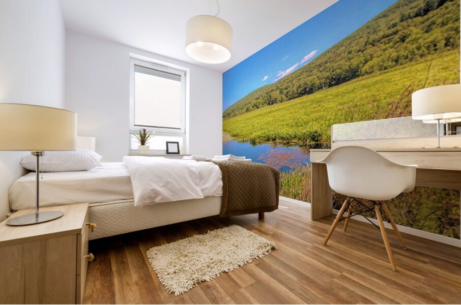 Basha Kill Mural print