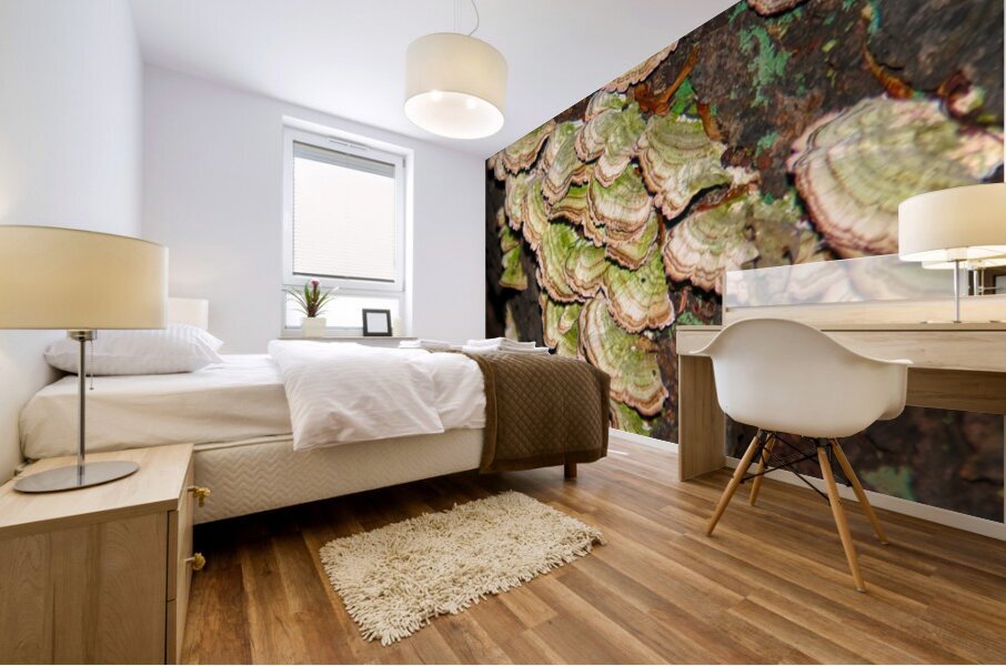 Green and White Turkey Tail  Impression murale