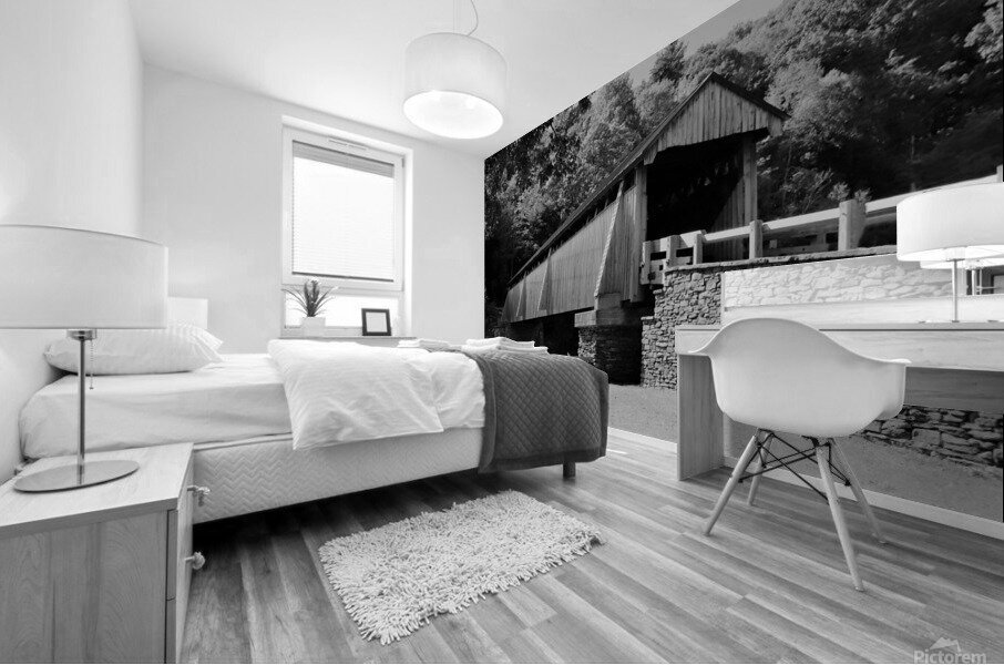 Beaverkill Covered Bridge In Black and White Impression murale