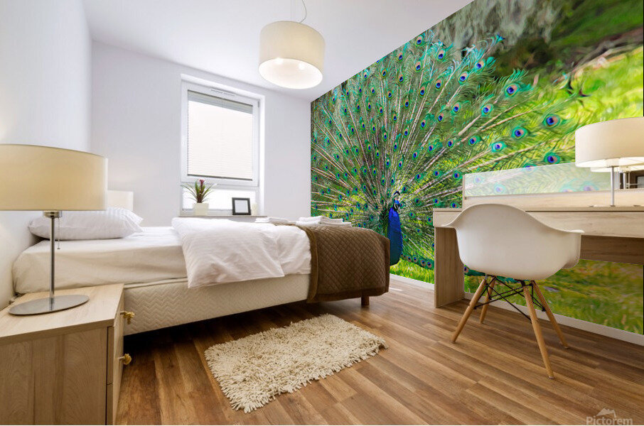 Brilliant Peacock Mural print