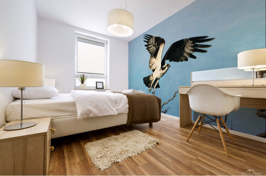Osprey Taking Flight Mural print