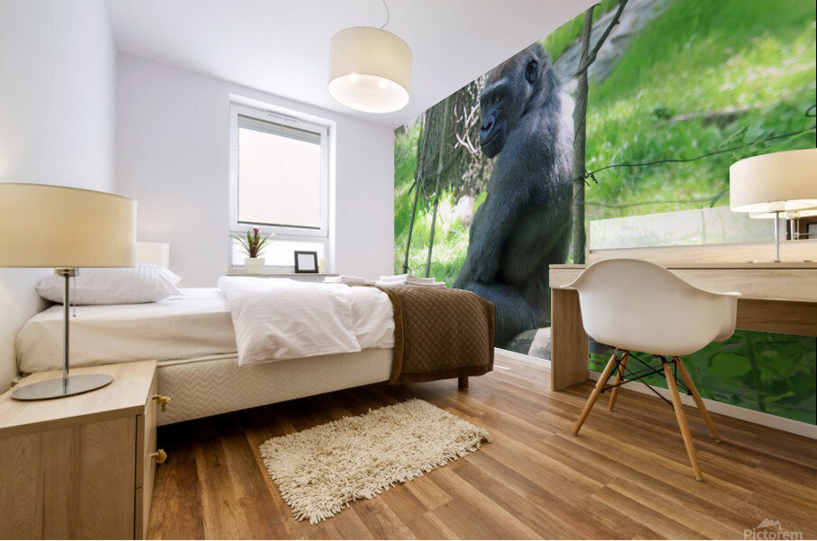  Western Lowland Gorilla Mural print