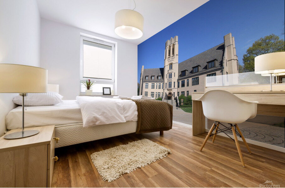 Olmsted Hall Mural print