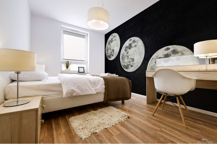 Moon Trio Black and White Mural print