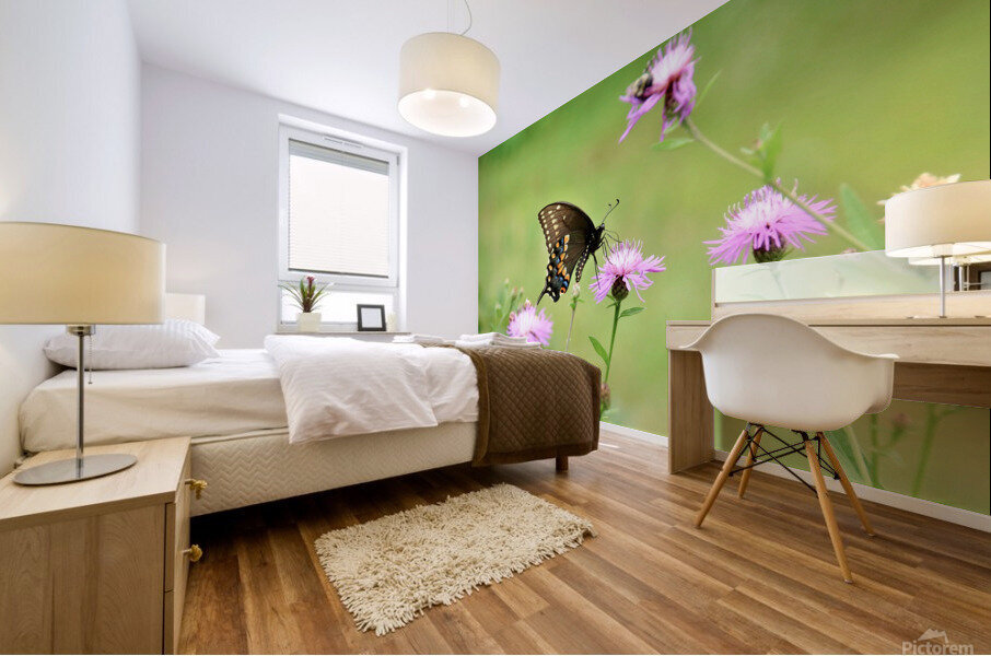 Swallowtail On Wild Flowers Mural print