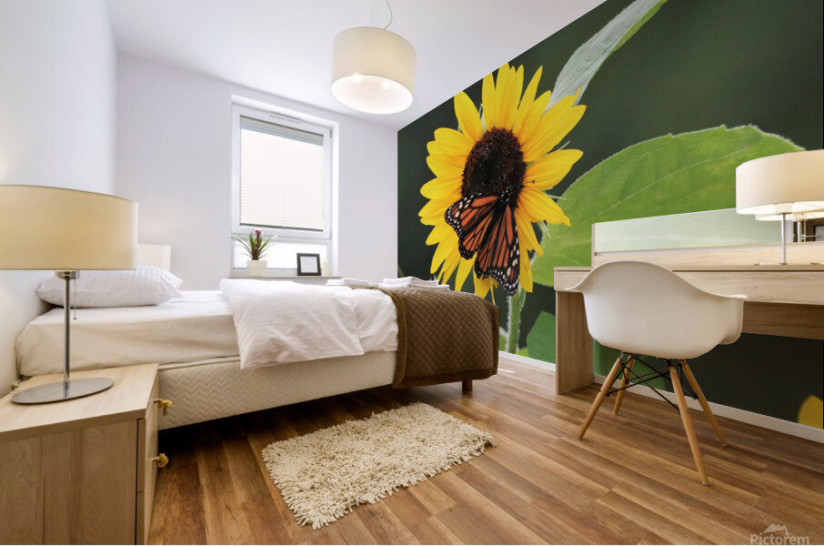 Summer Joy Impression murale