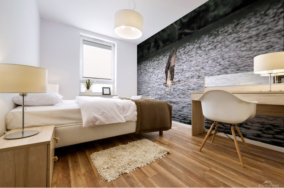 What Will The Osprey Catch Impression murale