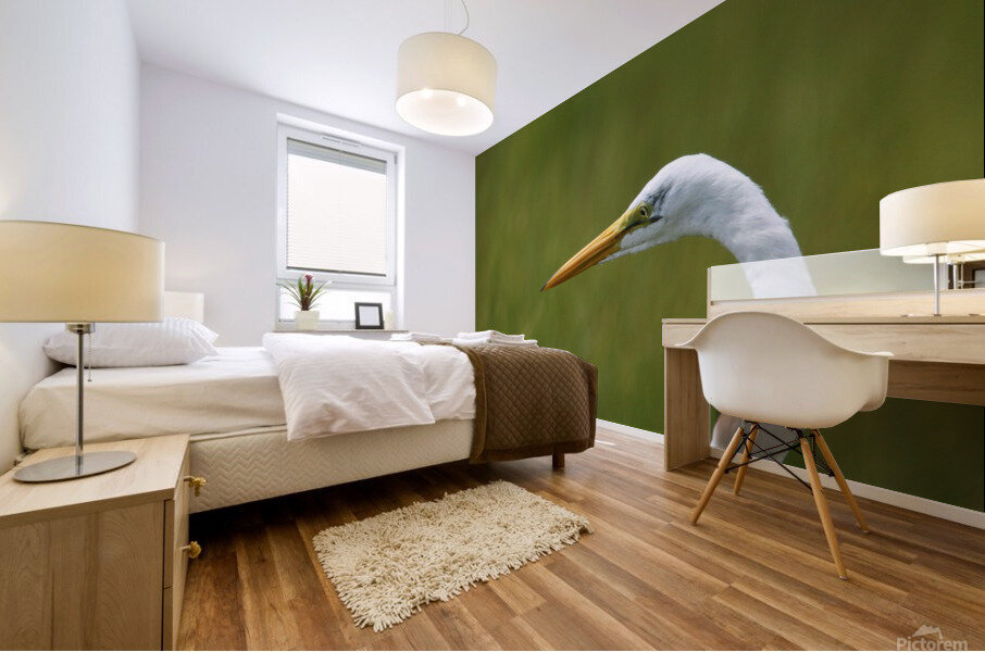 Great Egret Profile Mural print