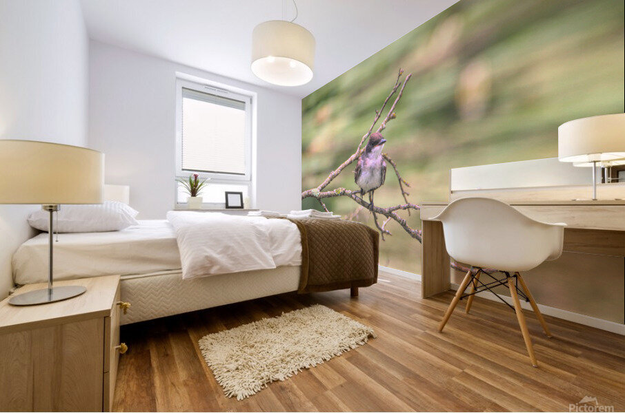 Eastern King Bird On A Branch Mural print