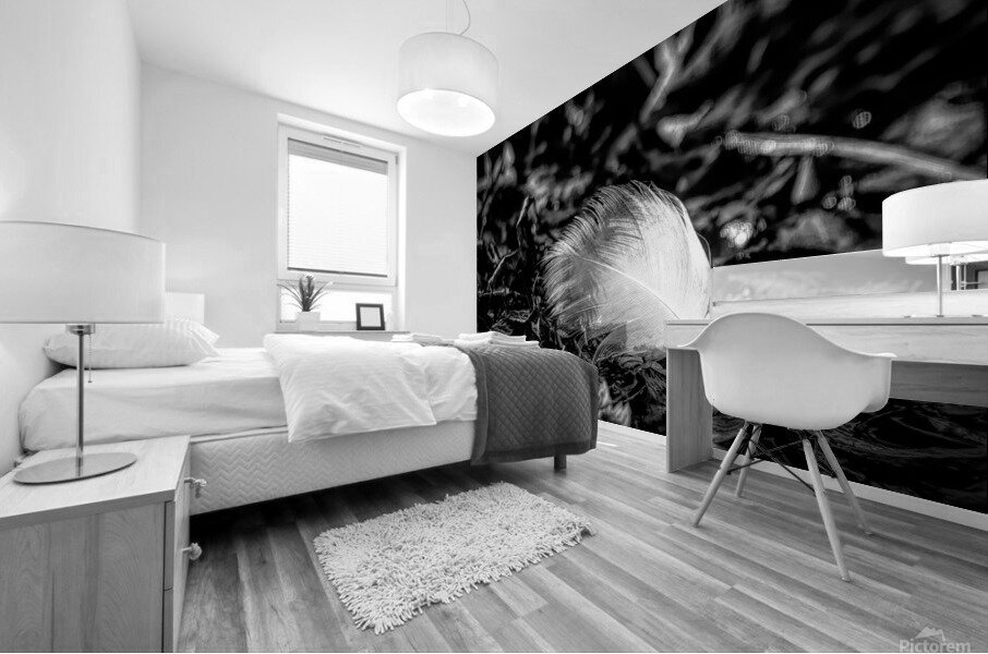 White Feather Mural print