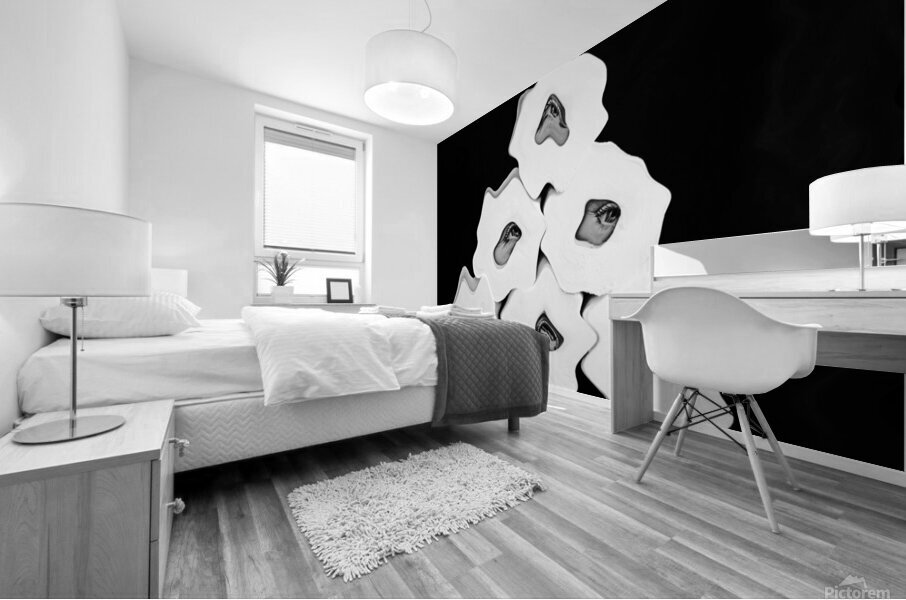 Toilet Paper Thief Mural print