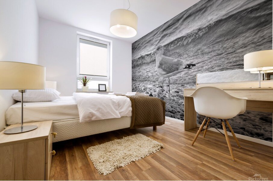 Black and White Sea Gull  Mural print