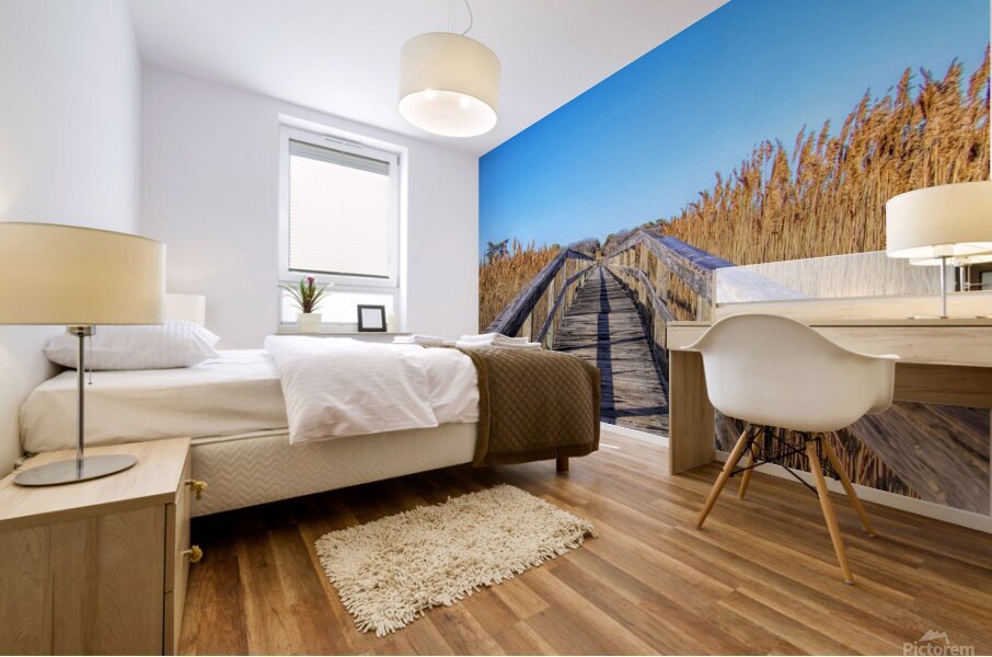 Walkway Through The Wetlands Mural print