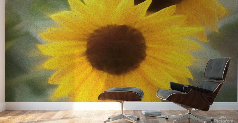 Sunflower In Chalk Wall Murals