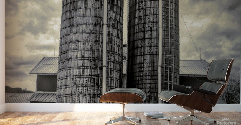 Double Silo Wall Murals