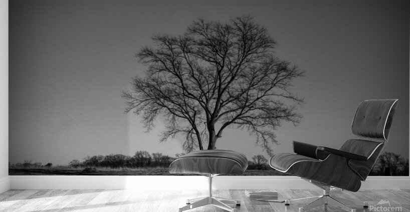 Alone In A Meadow Wall Murals