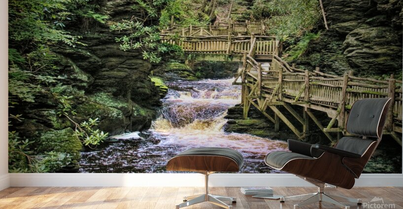 Upper Gorge At Bushkill Falls Wall Murals