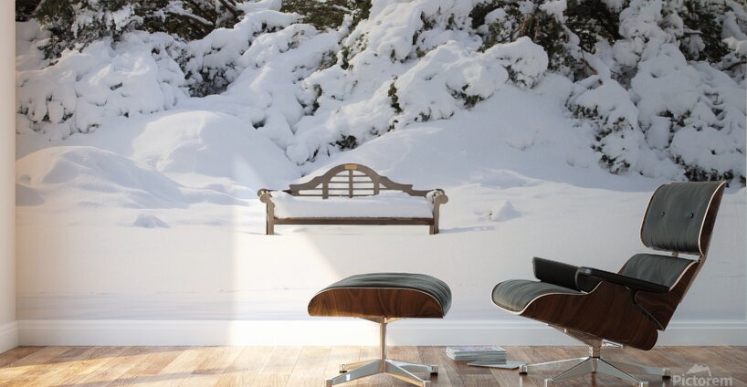 Snow Dwarfed Bench Wall Murals