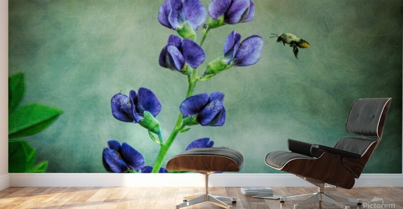 Bee Flying To A Purple Flower Wall Murals