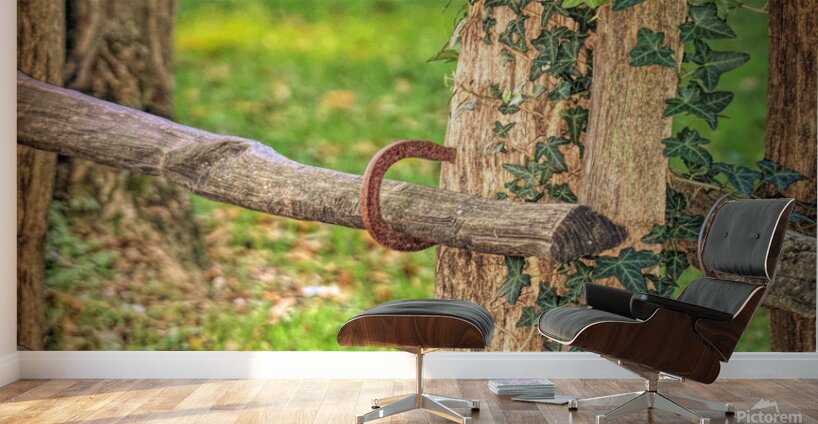 Horseshoe Fence Wall Murals