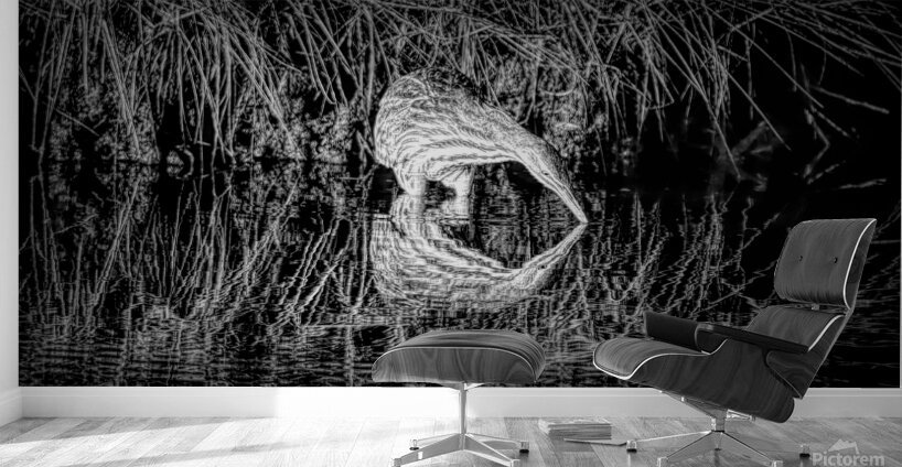 Mirror Reflection Of A Bittern Wall Murals