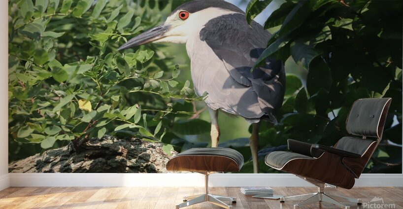 I Thought I Could Hide Wall Murals