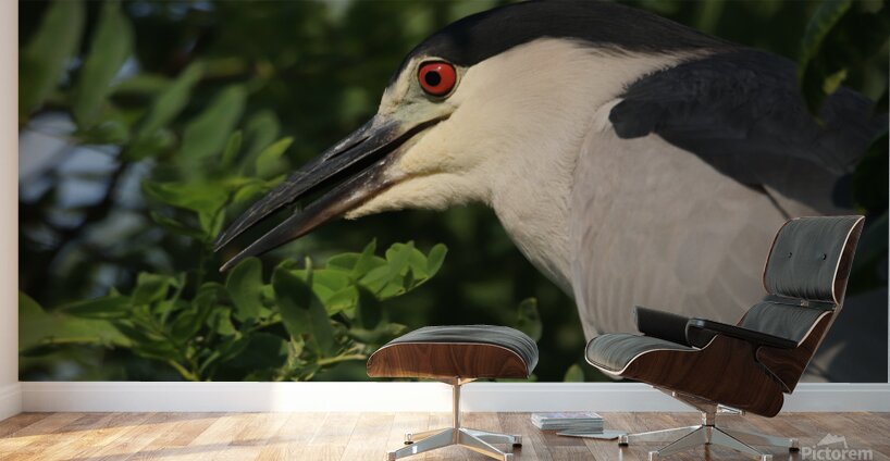 Love My Profile Wall Murals