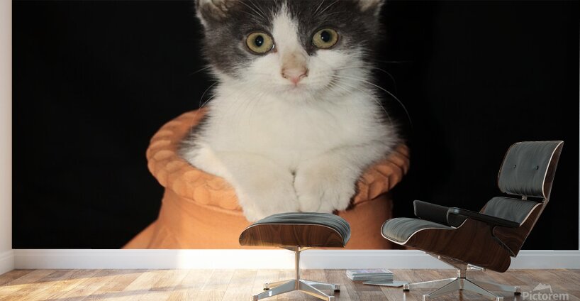 Lady Oscar Wall Murals