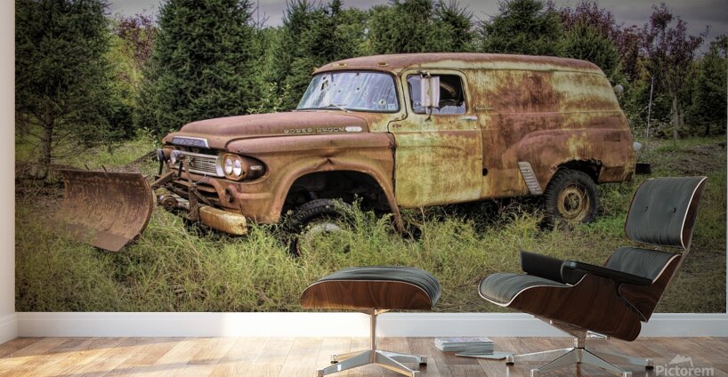 I Am Not Going Anywhere Wall Murals