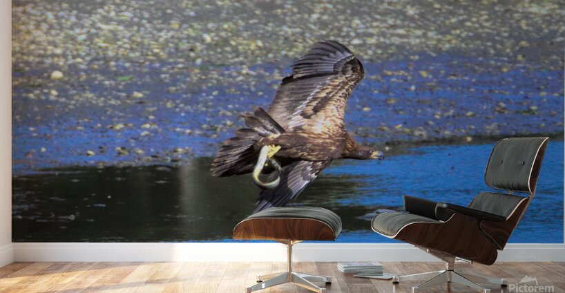 Baby s First Catch Wall Murals