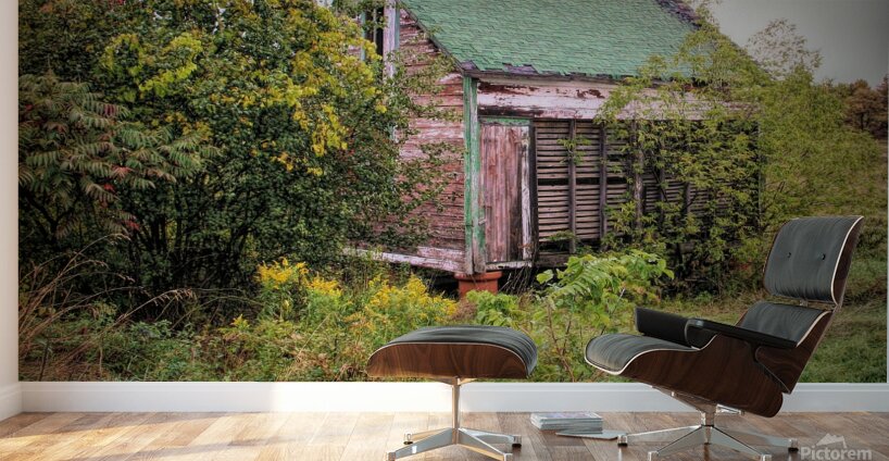 Forgotten Shed  Wall Murals