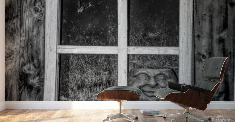 Creepy Face In The Window Wall Murals