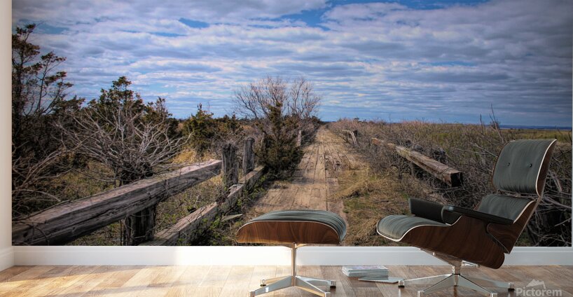 Path Along The Sound Wall Murals