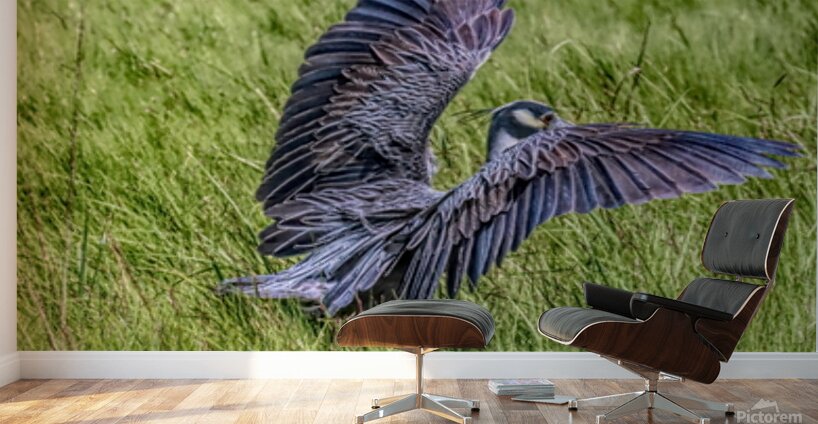 Awesome Landing Wall Murals