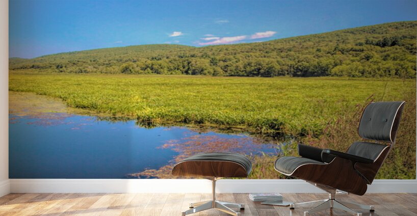 Basha Kill Wall Murals