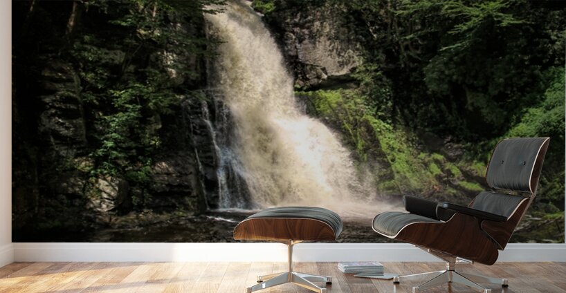 Bushkill Falls  Wall Murals