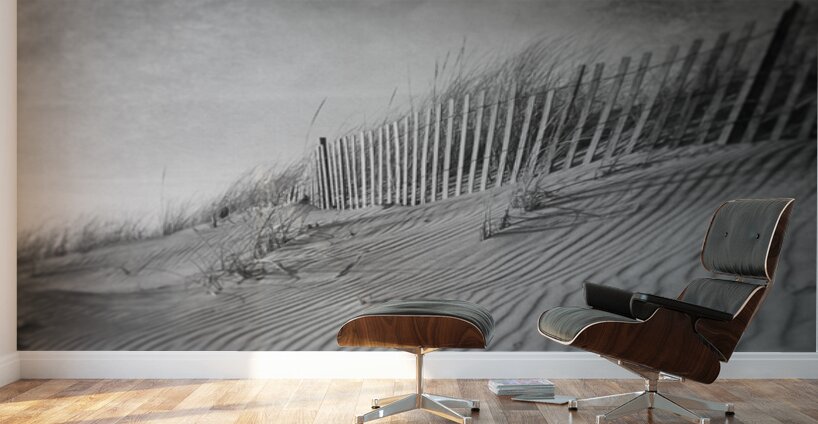 The Dunes In Black and White Wall Murals