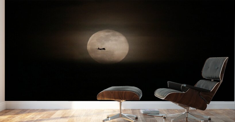 Fly Me To The Moon Wall Murals