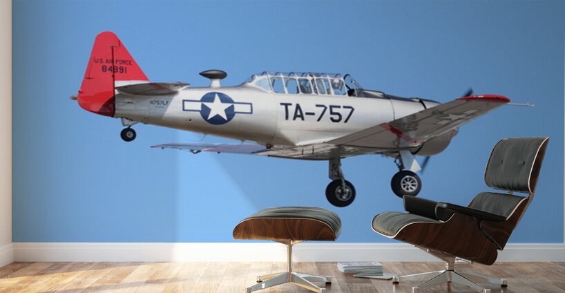 AT 6 Texan Wall Murals