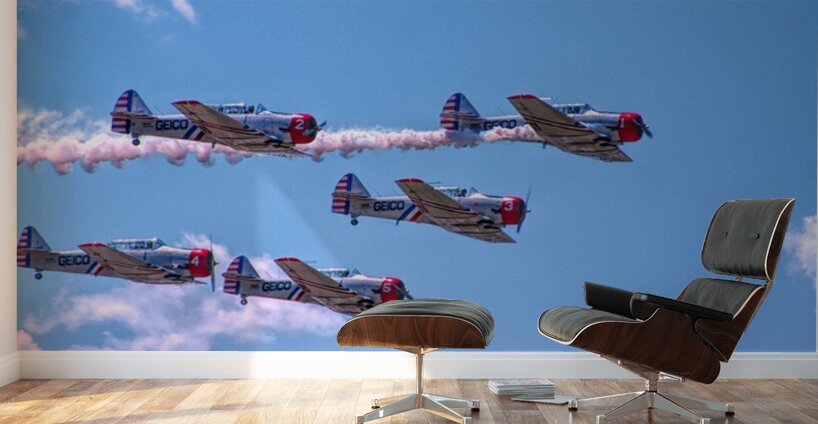 Skytypers  Wall Murals