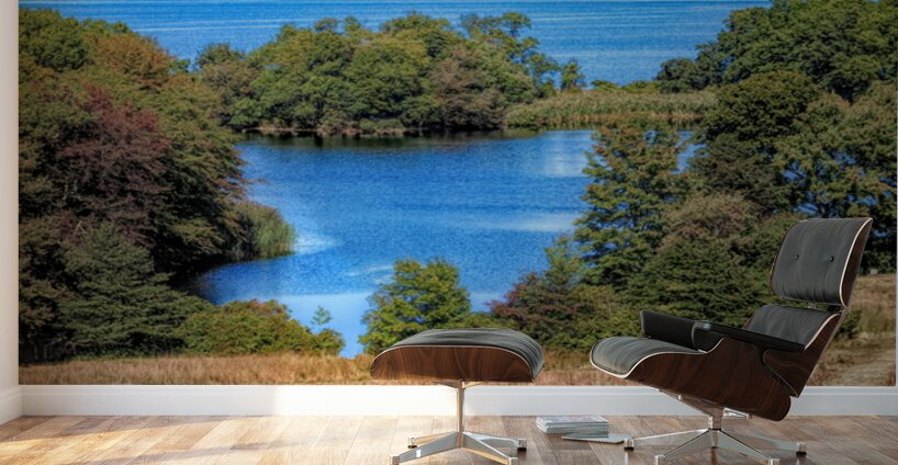 Fresh Pond at Caumsett Wall Murals