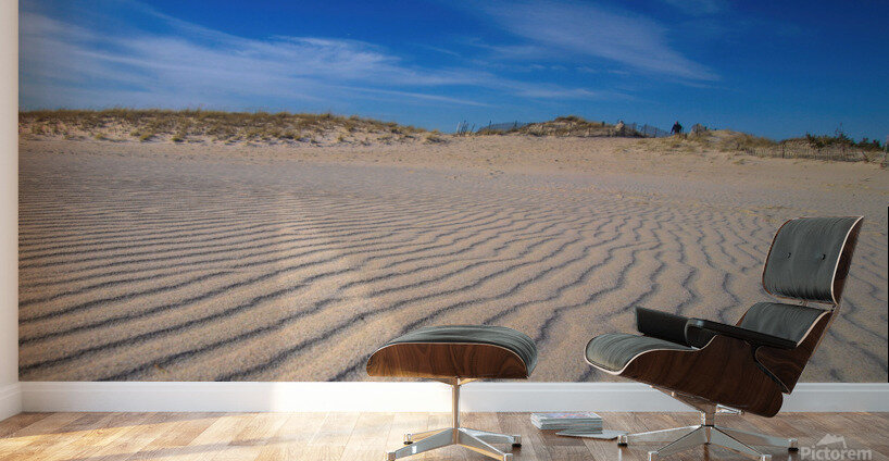 Man On The Dunes Wall Murals