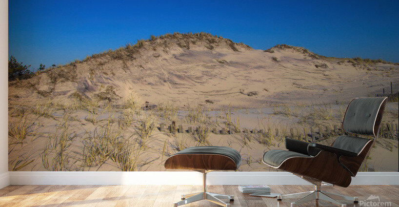 Dunes Reaching For The Sky Wall Murals